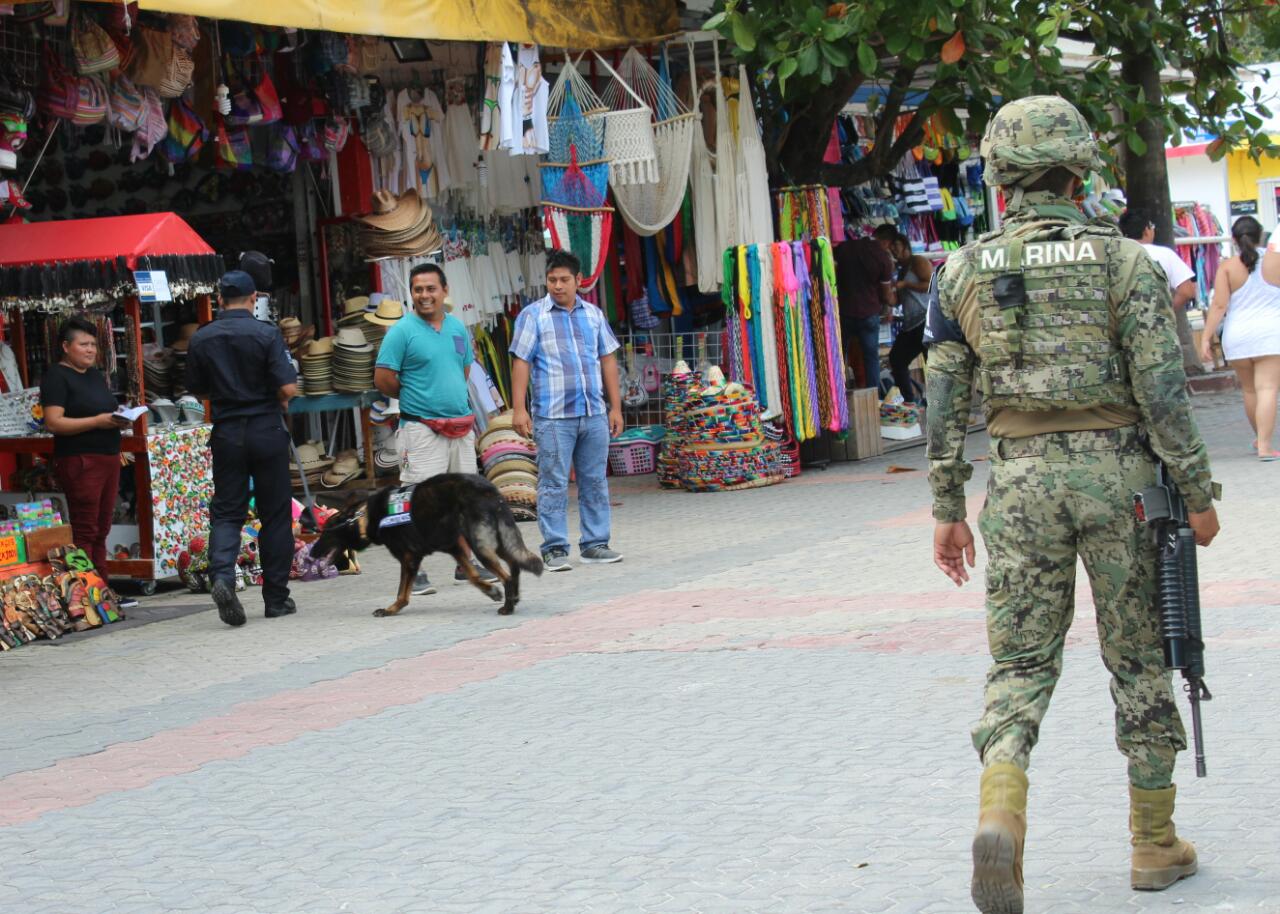 Unidad canina refuerza operativos de vigilancia en Playa del Carmen ...