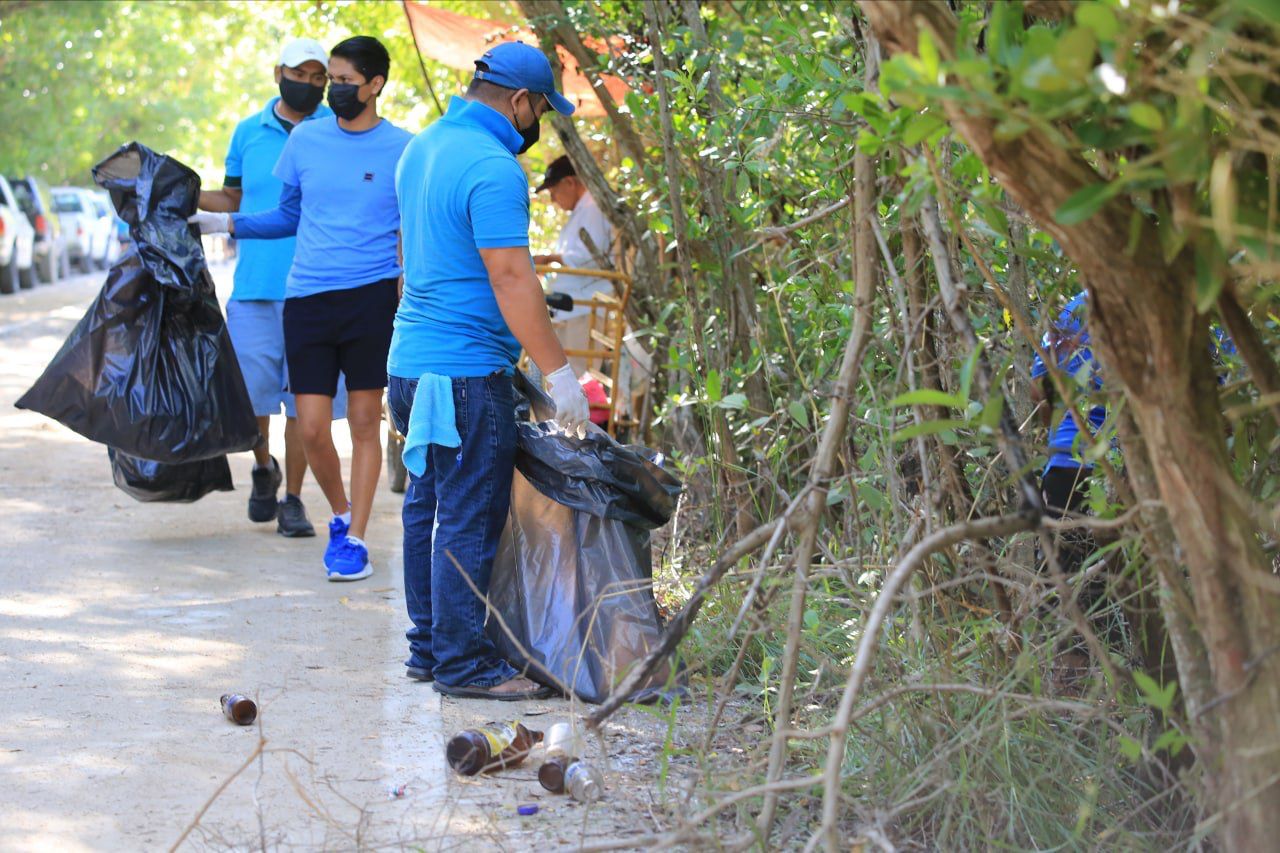 Refuerzan limpieza de playas y cenotes en Solidaridad | Cancún Mío